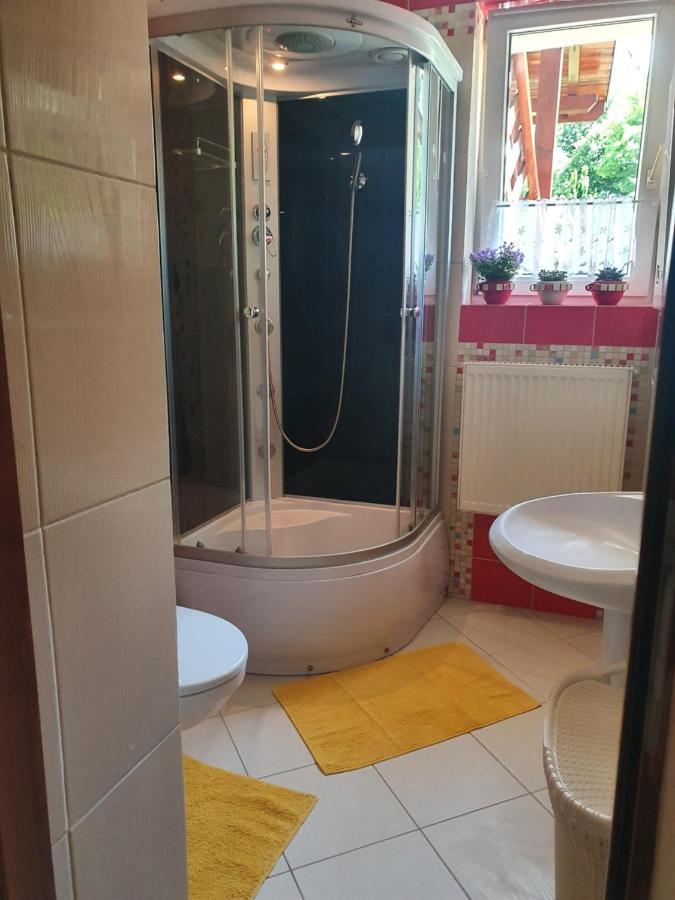 Przytulny Apartament-Cosy And Beautiful Żywiec Eksteriør billede