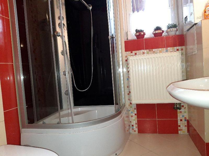 Przytulny Apartament-Cosy And Beautiful Żywiec Eksteriør billede